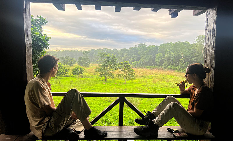 jungle view from tower