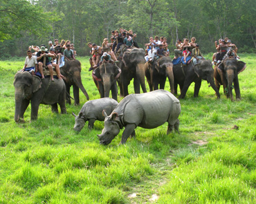 Chitwan Elephant Safari