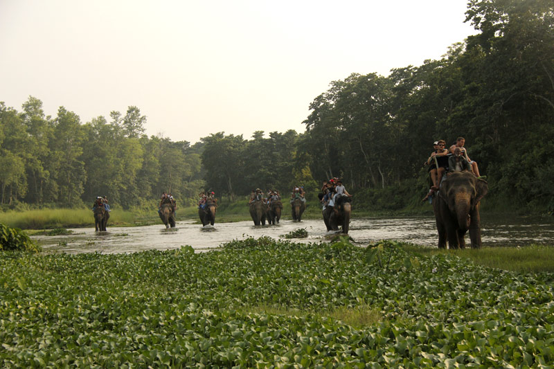 Chitwan Elephant Safari