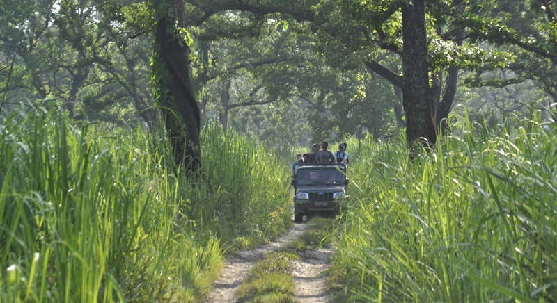 Chitwan Jungle Walk