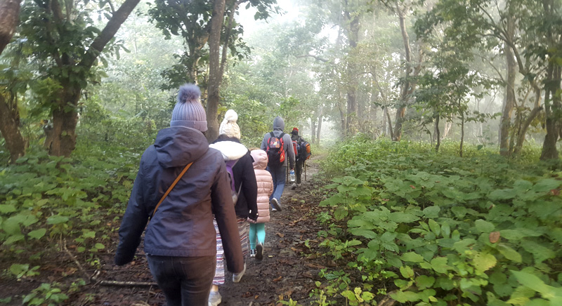 Chitwan Jungle Walk