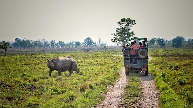 Jeep Safari Chitwan National Park