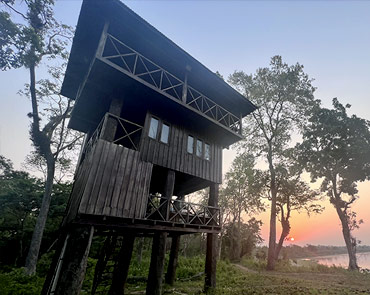 Chitwan Jungle Tower Room