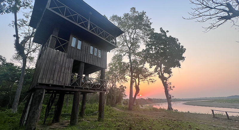 Machan tower - Chitwan