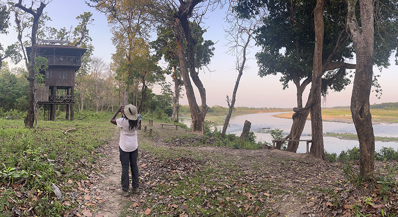 Machan tower - Chitwan